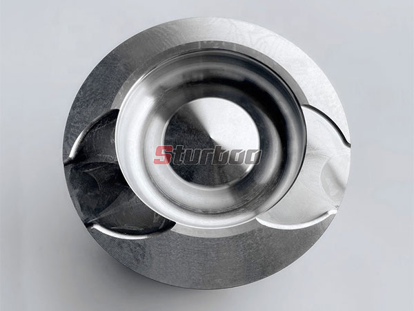 Kit de reparación de pistón SINOTRUK WD615.47